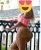 Hayata Yenilik Kazandıran Escort Bayan Buket - Image 1